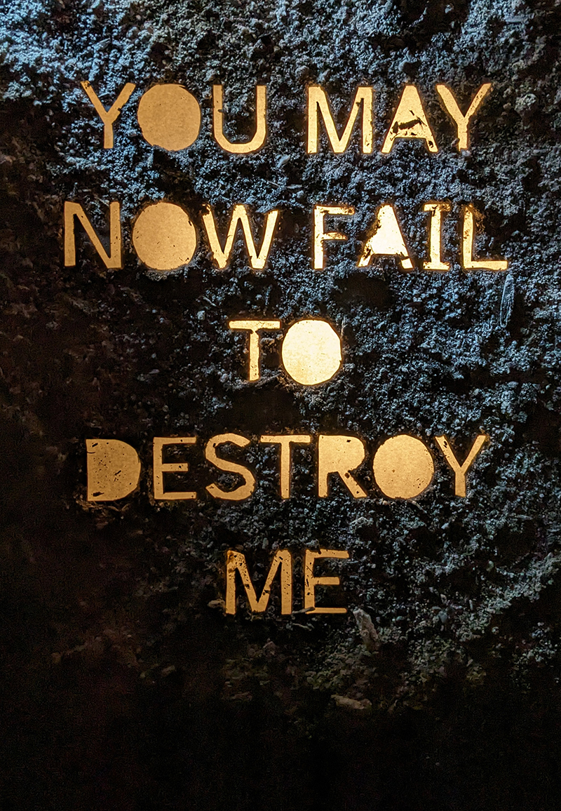YOU MAY NOW FAIL TO DESTROY ME book cover