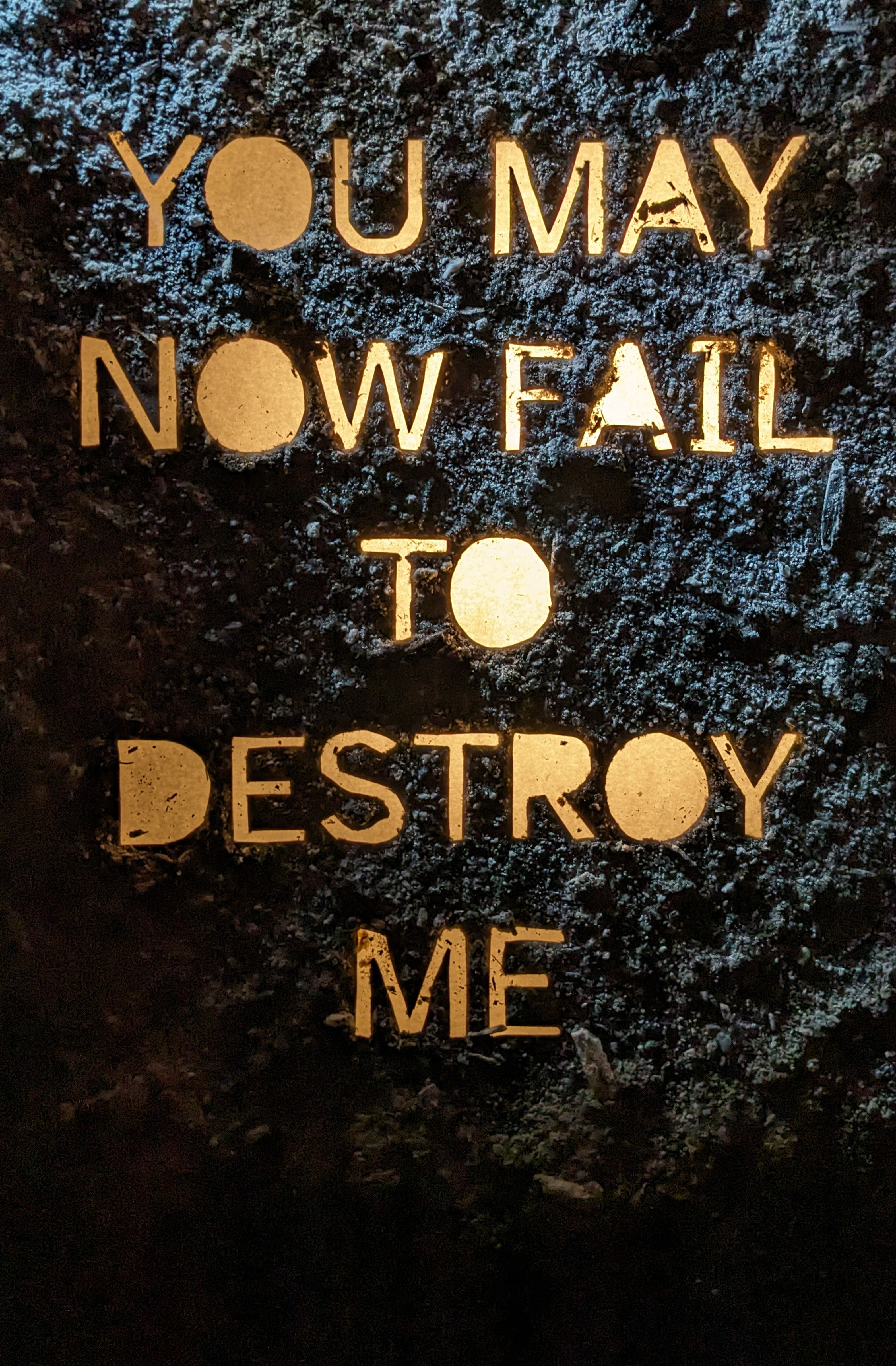 YOU MAY NOW FAIL TO DESTROY ME book cover